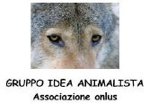 28-gruppo